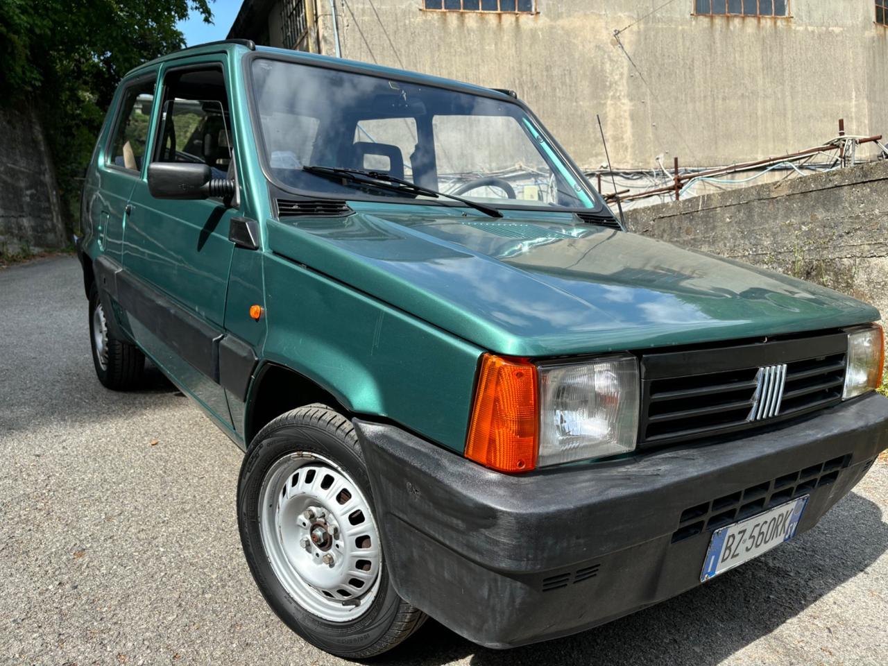 Fiat Panda 1100 i.e. cat Young 57000 perfetta