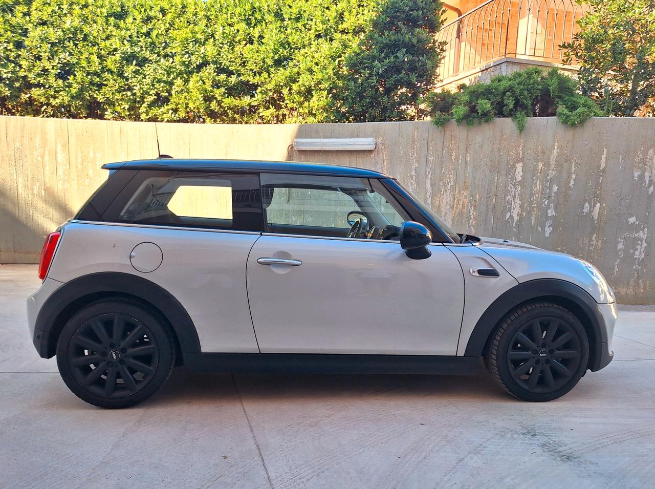 Mini Mini 1.5 One D Hype