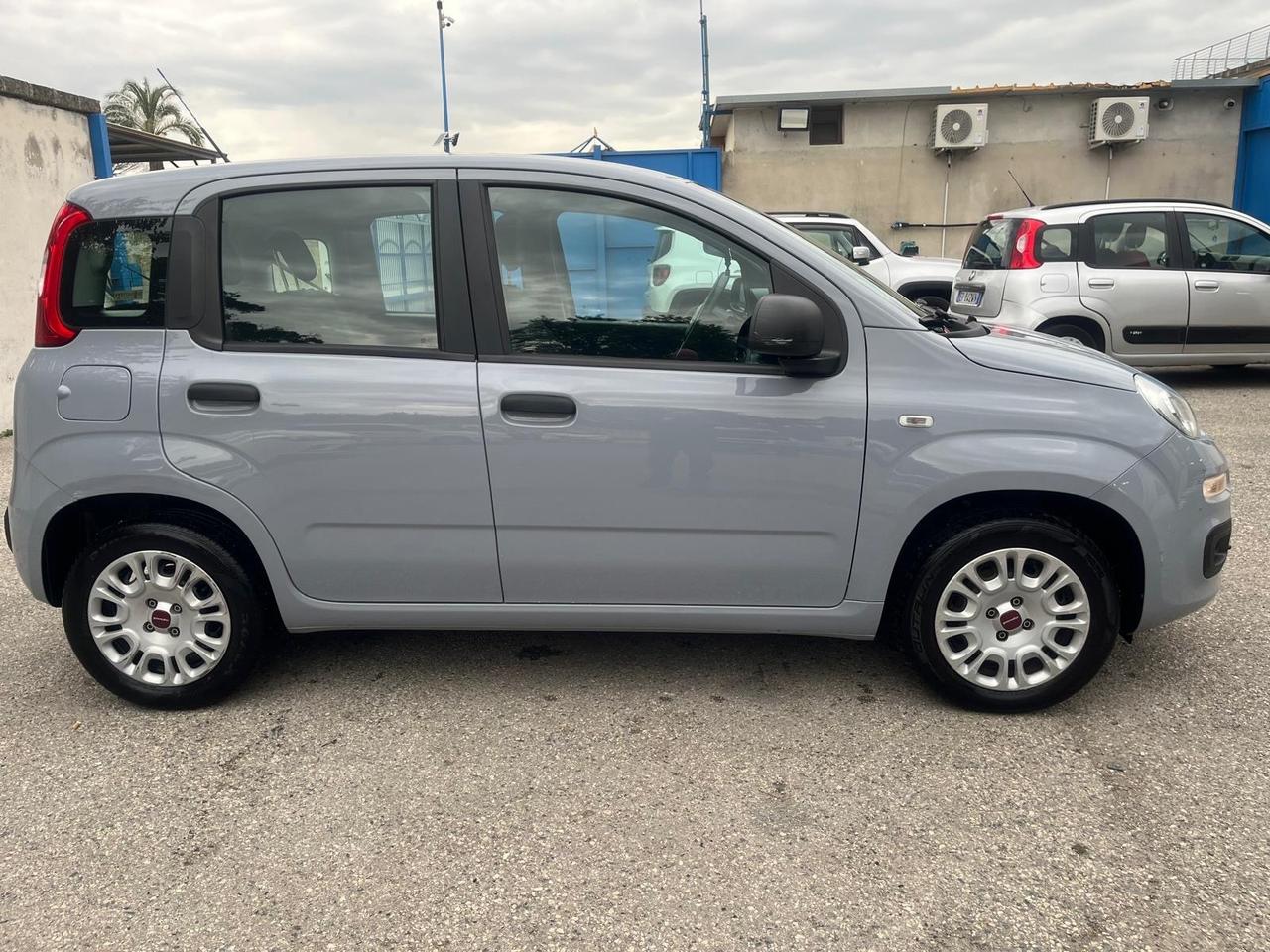 Fiat Panda 1.2 benz km 58000-full-2019