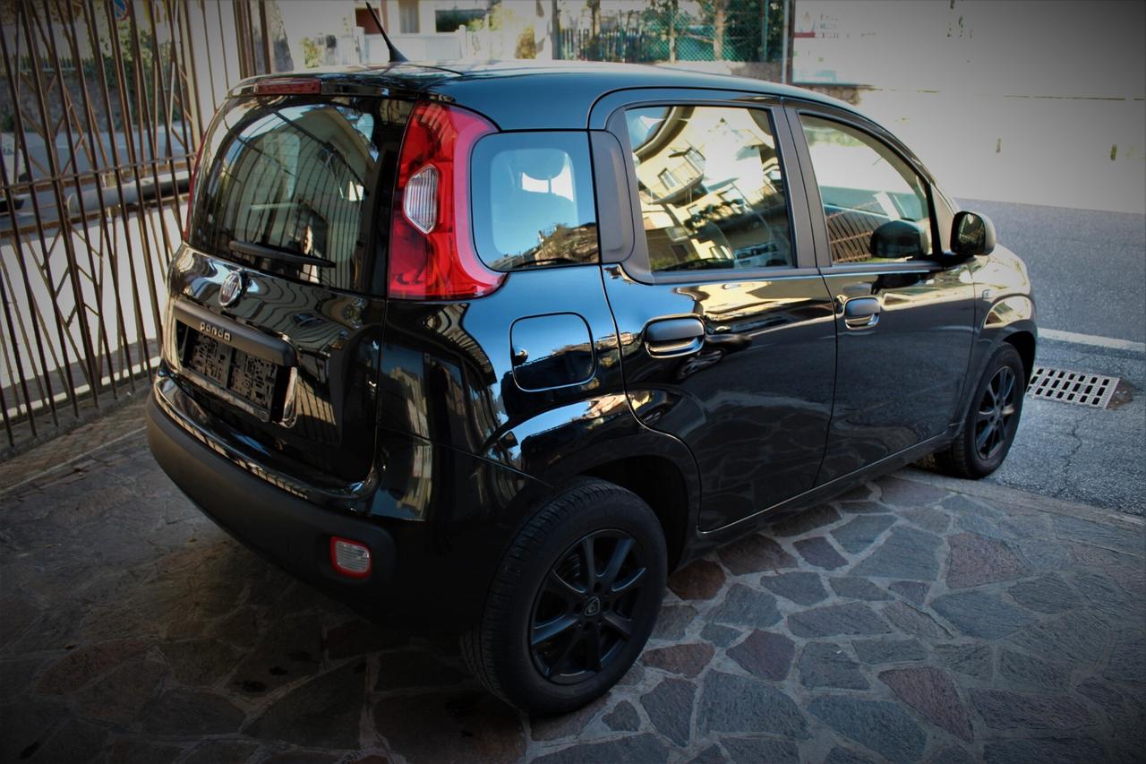 Fiat Panda 1.2 Easy Neopatentati