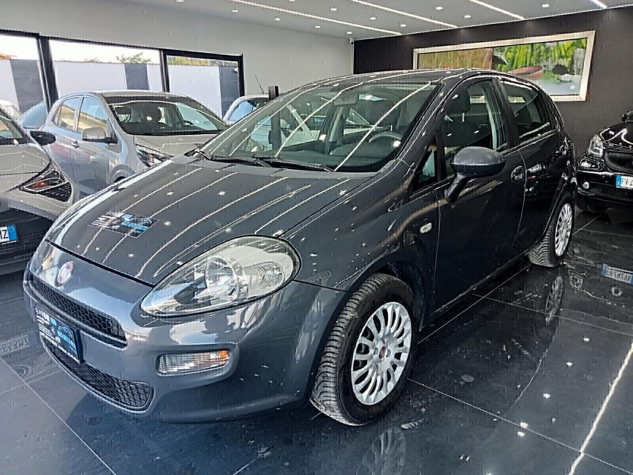 Fiat Punto 1.2 8V 5 porte 1 PROPRIETARIO