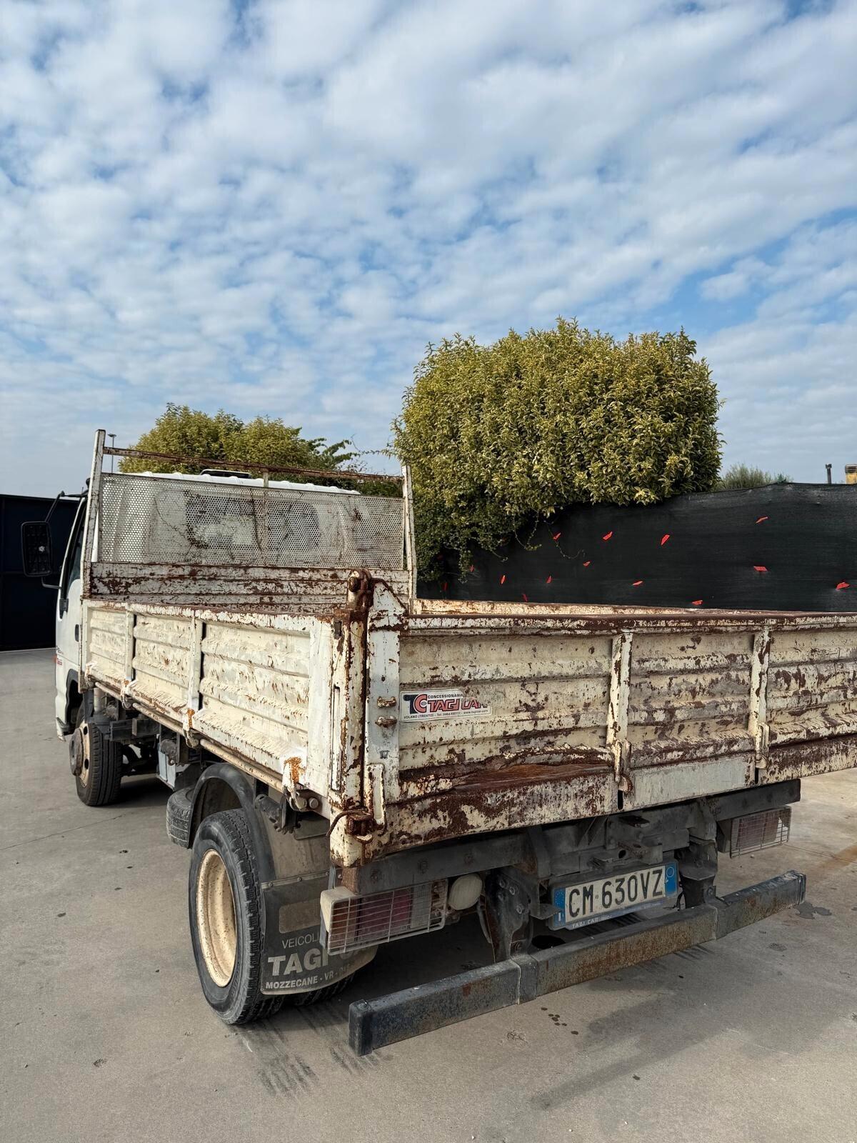 Isuzu Motors LTD NPR 77