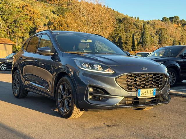 FORD Kuga 1.5 EcoBlue 120 CV 2WD ST-Line