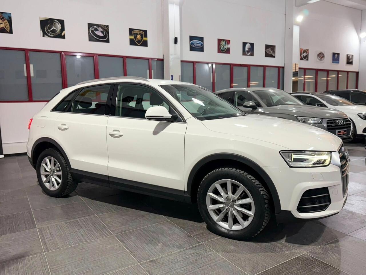 Audi Q3 2.0 TDI S-tronic Business Plus Quattro 150cv 2017