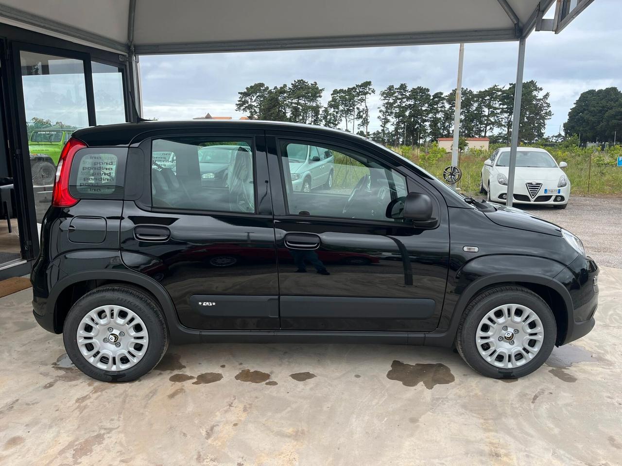 Fiat Panda 1.0 FireFly S&S Hybrid Pandina