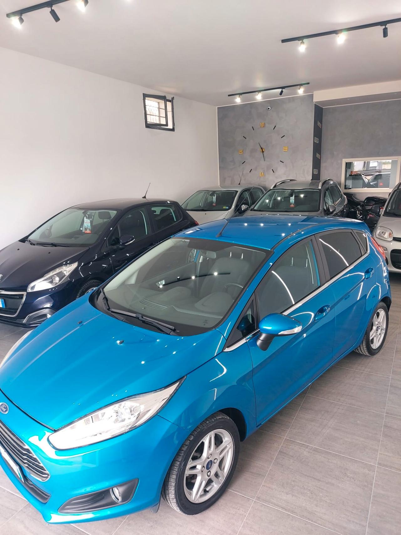 Ford Fiesta 1.5 TDCi 75CV 5 porte Titanium 2014