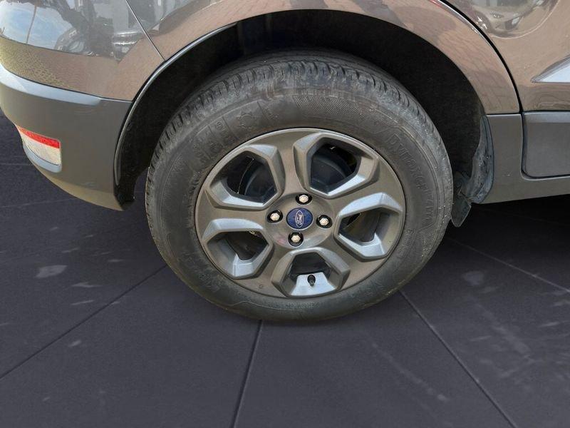 Ford EcoSport 1.0 EcoBoost 100 CV Business