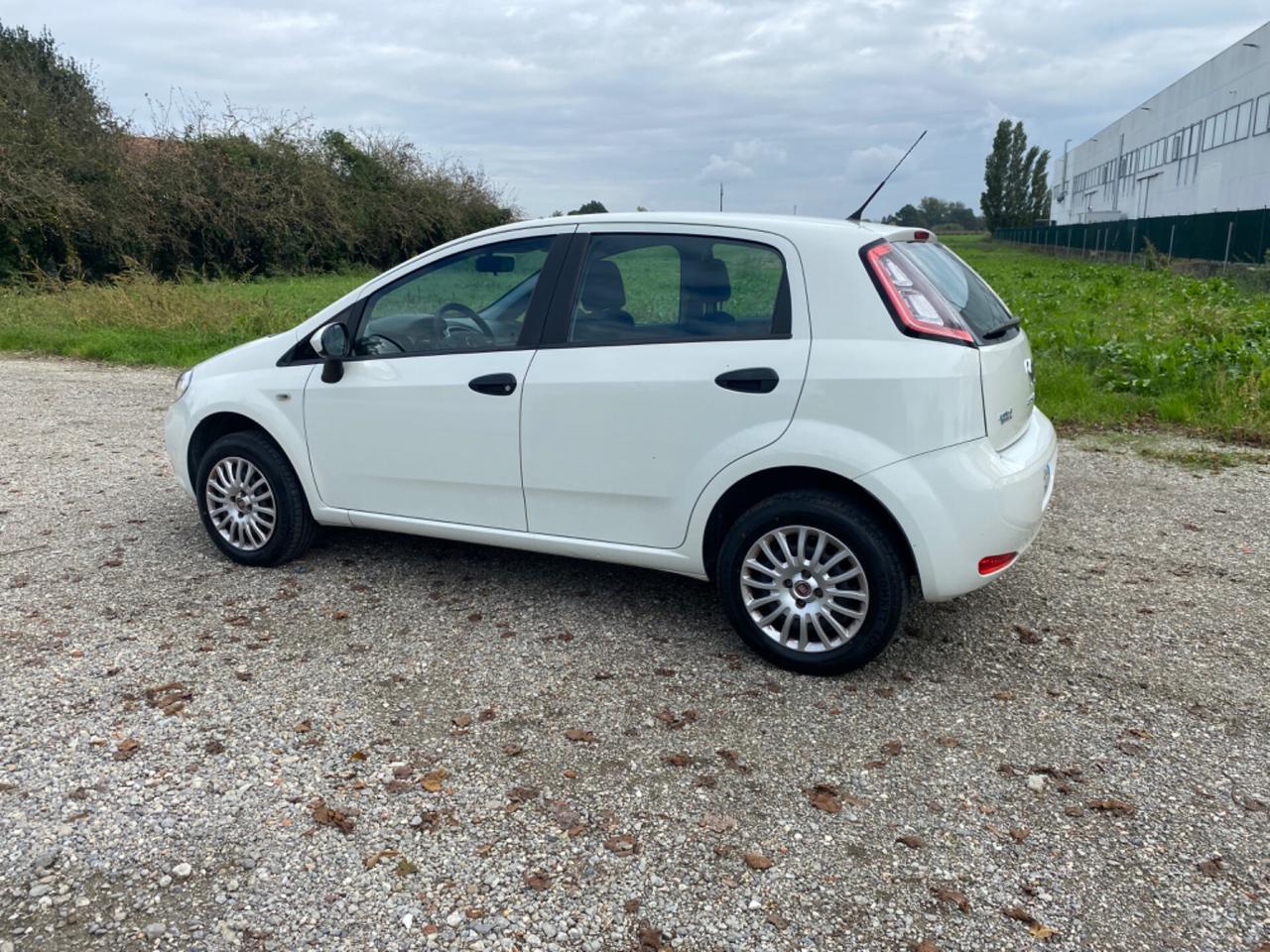 Fiat Punto 1.4 8V 5 porte Natural Power Street