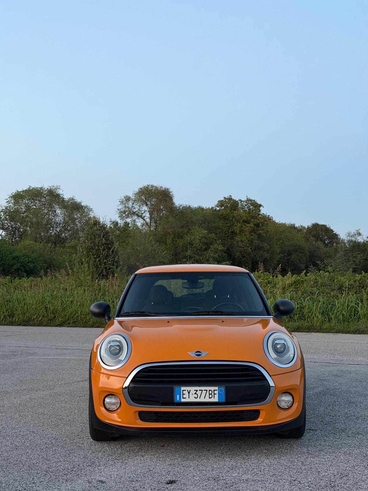 Mini 1.5 One D