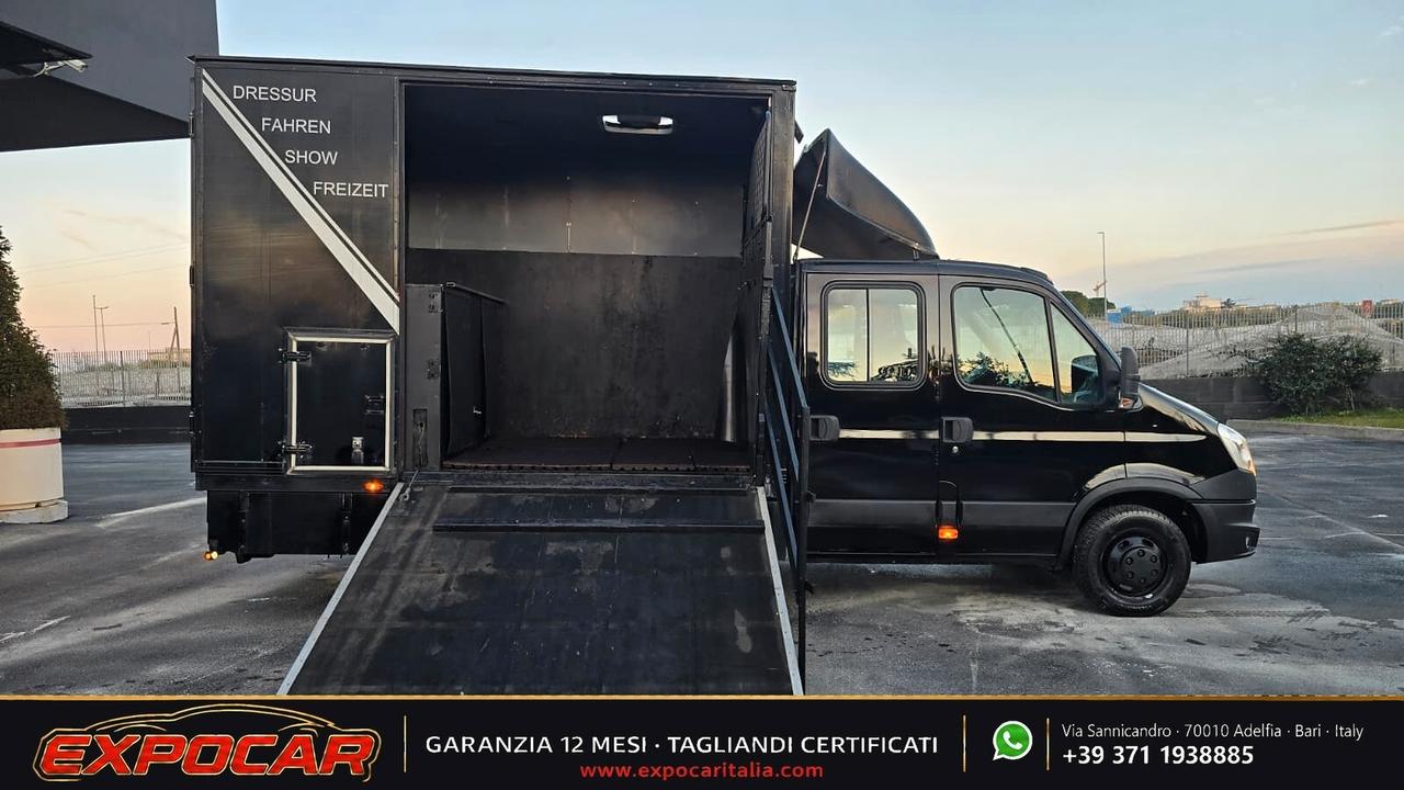 Iveco Daily - Trasporto Cavalli