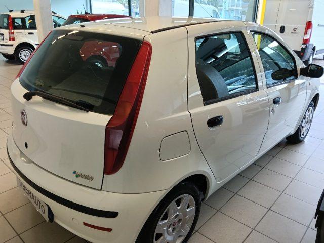 FIAT Punto Classic 1.2 5 porte Natural Power Active