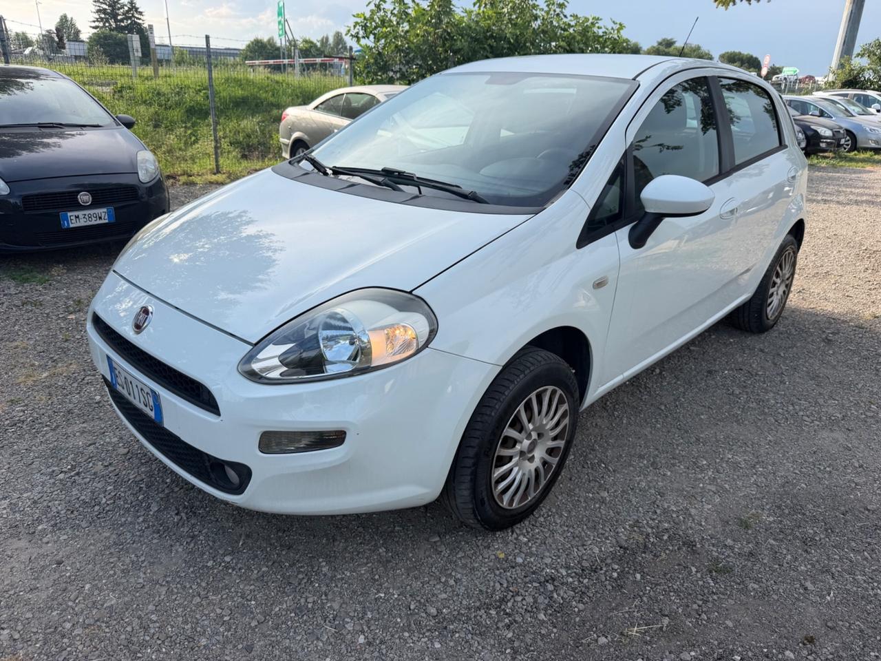 Fiat Punto 1.4 8V 5 porte Natural Power Lounge
