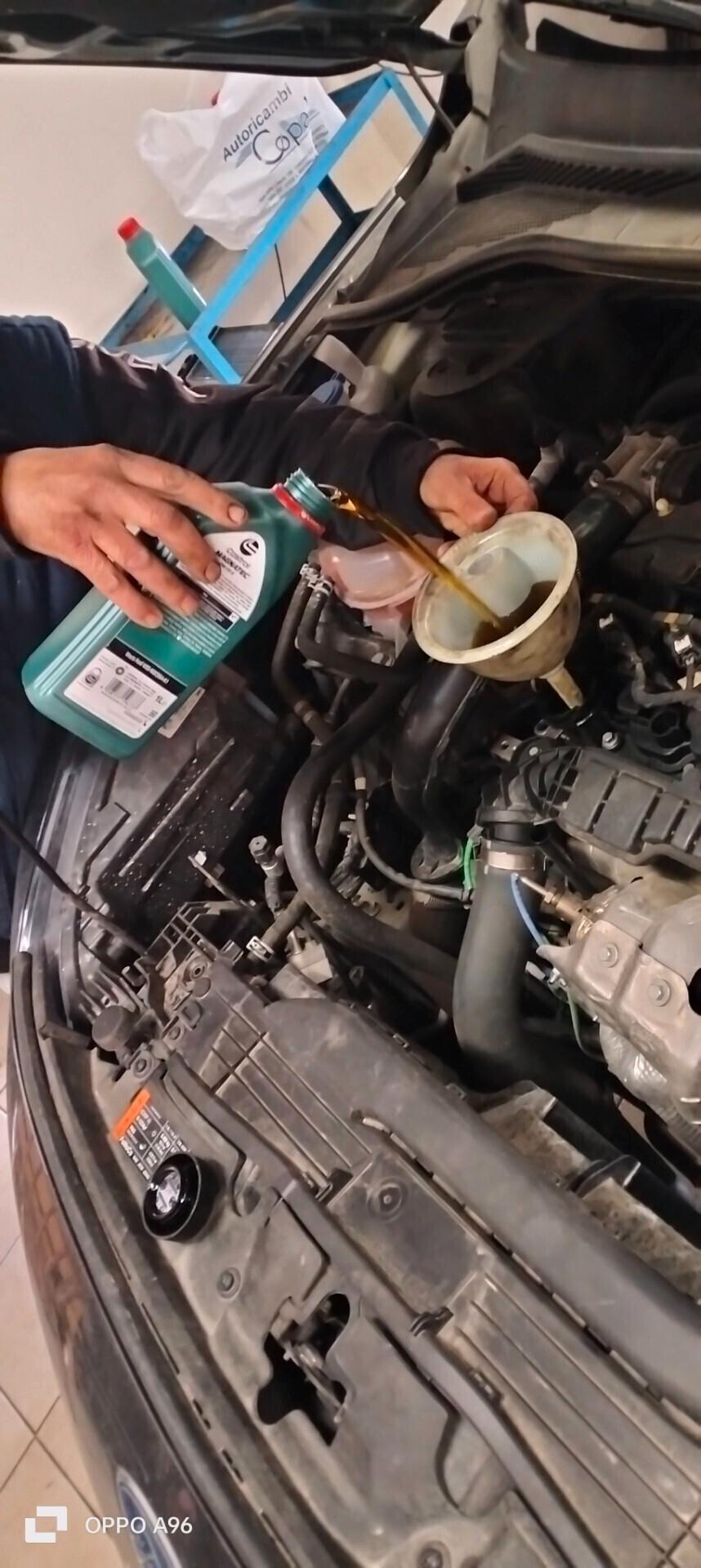 Ford Kuga 1.5 EcoBlue 120 CV aut. 2WD Connect