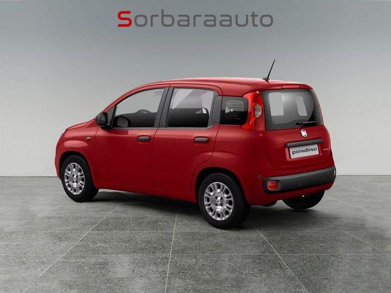 FIAT Pandina Pandina 1.0 firefly hybrid Icon s&s 65cv 5p.ti.