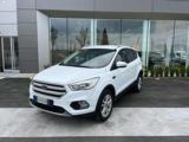 FORD Kuga 1.5 TDCI 120 CV S&S 2WD Powershift Business