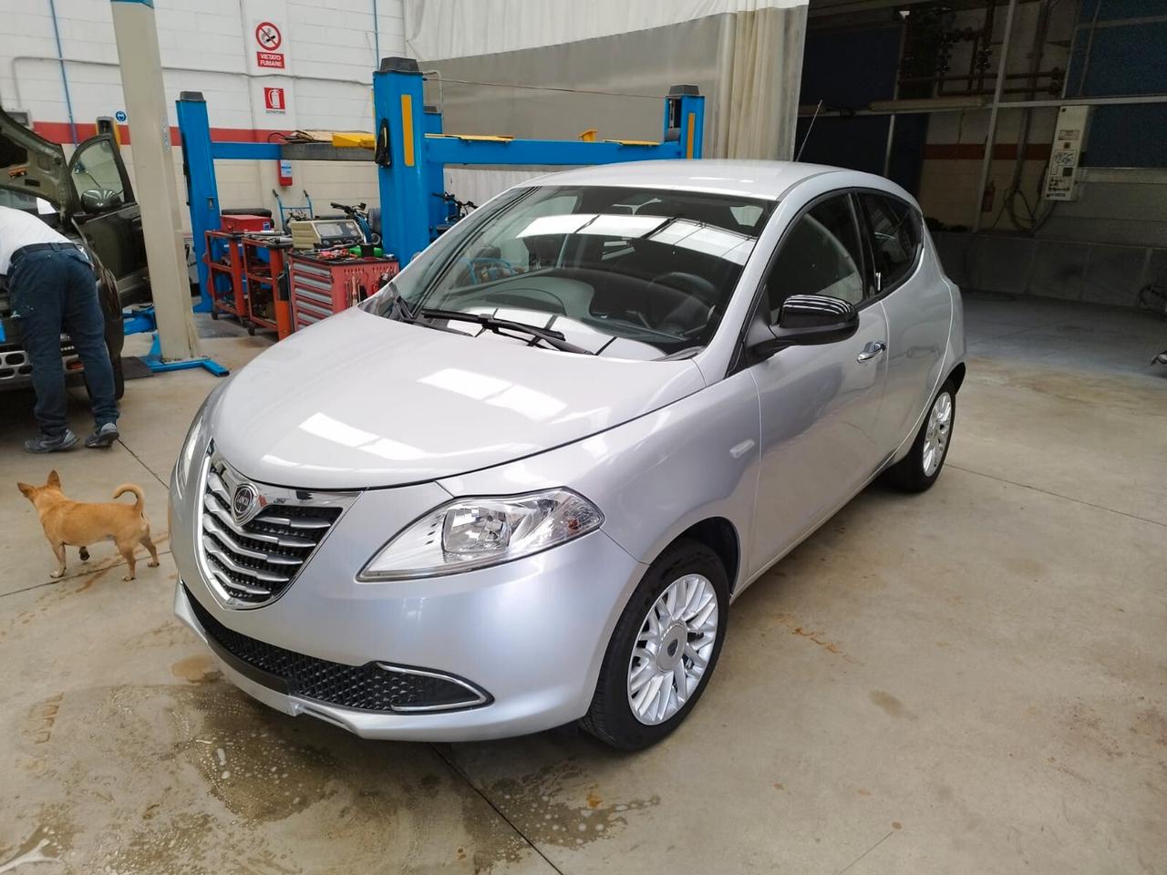 Lancia Ypsilon 1.2 69 CV 5 porte Elle