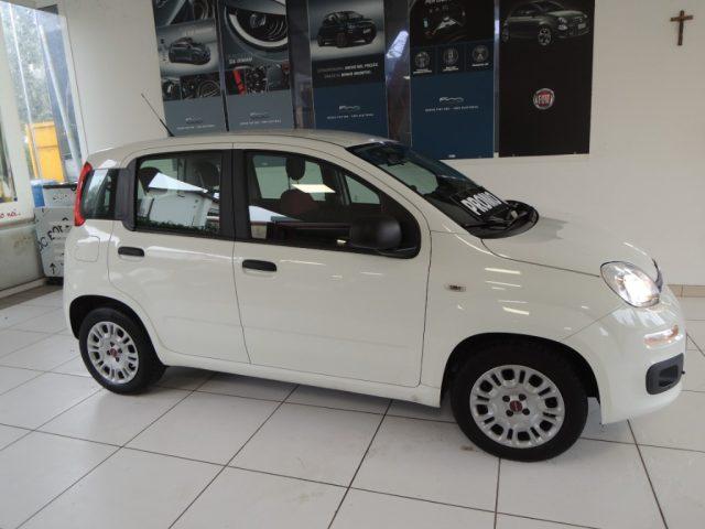 FIAT Panda 1.3 MJT 95 CV S&S Easy