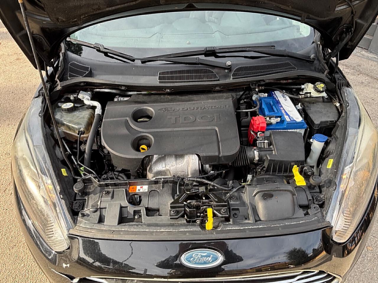 Ford Fiesta 1.5 TDCi 75CV 5 porte Titanium