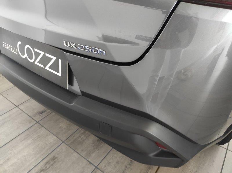 LEXUS UX - UX Hybrid Business