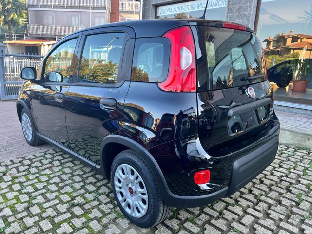 FIAT Panda 1.0 FireFly S&S Hybrid +pack