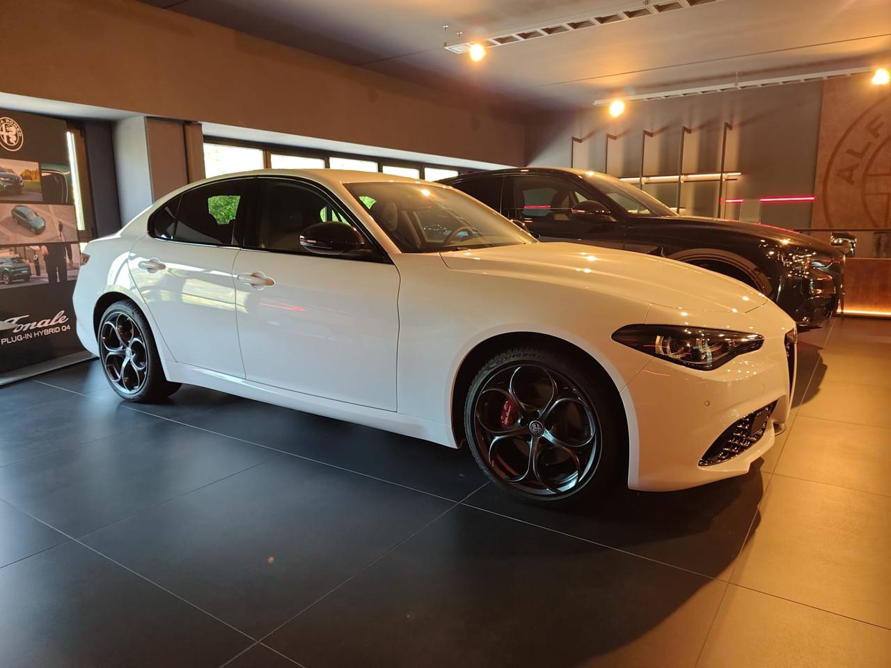 ALFA ROMEO Giulia My24 Diesel 210 Cv Tributo Italiano