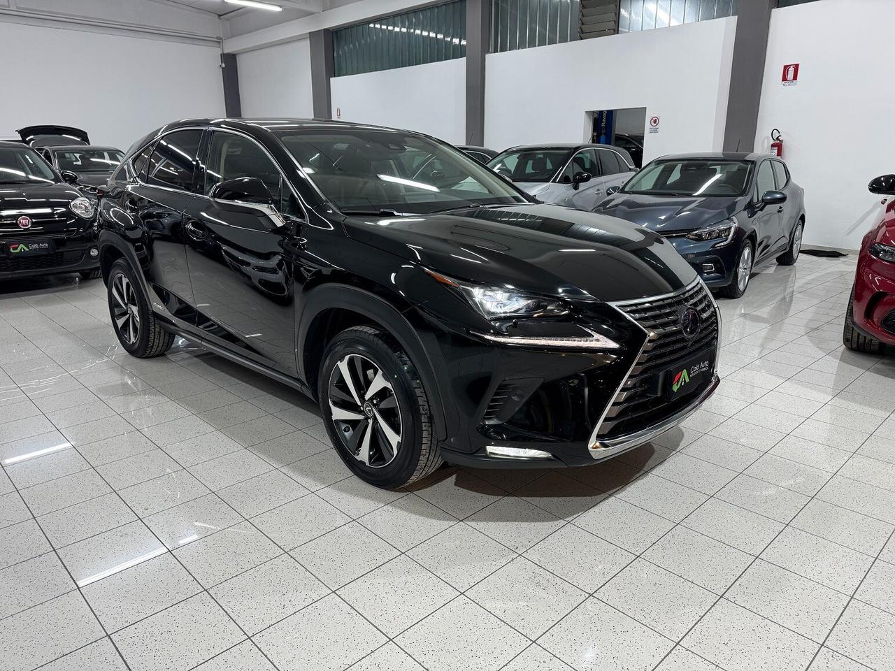 NX 300h Hybrid 4WD Luxury STRAFUL TETTO!!!!!