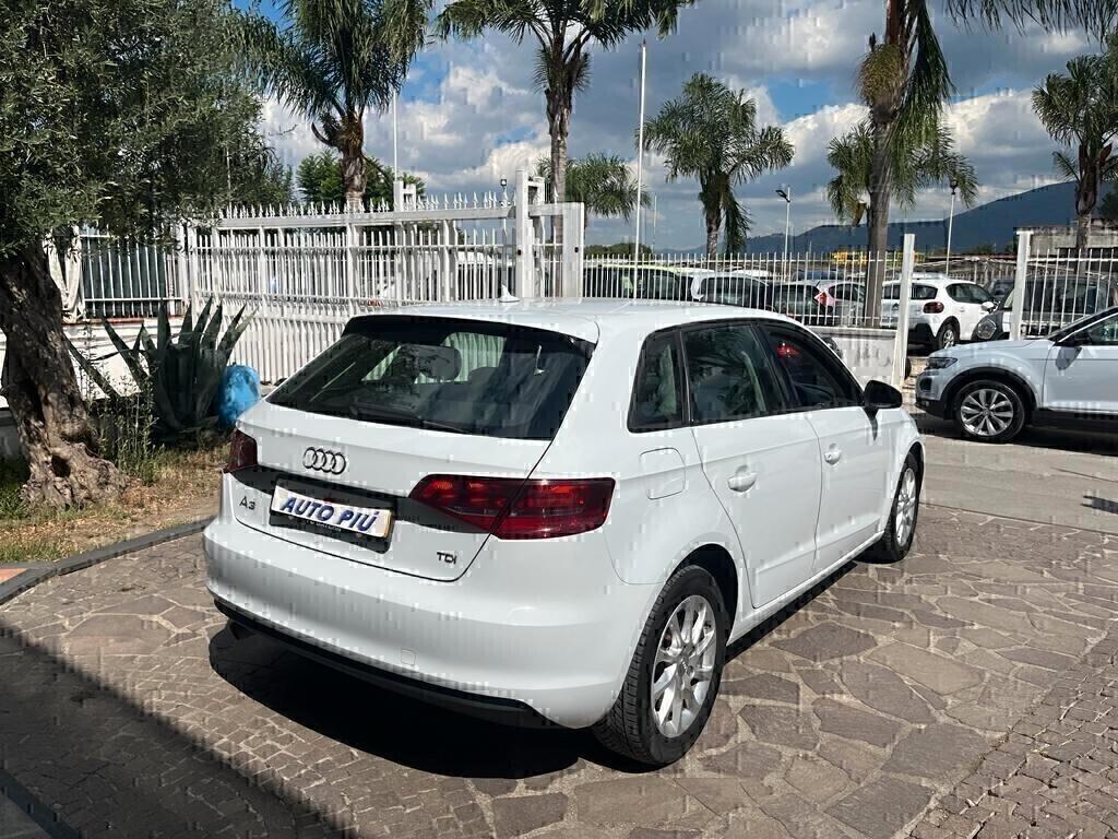 Audi A3 1.6 TDI Ambition GUIDA INGLESE CAMBIO AUTOMATICO 125.000 KM