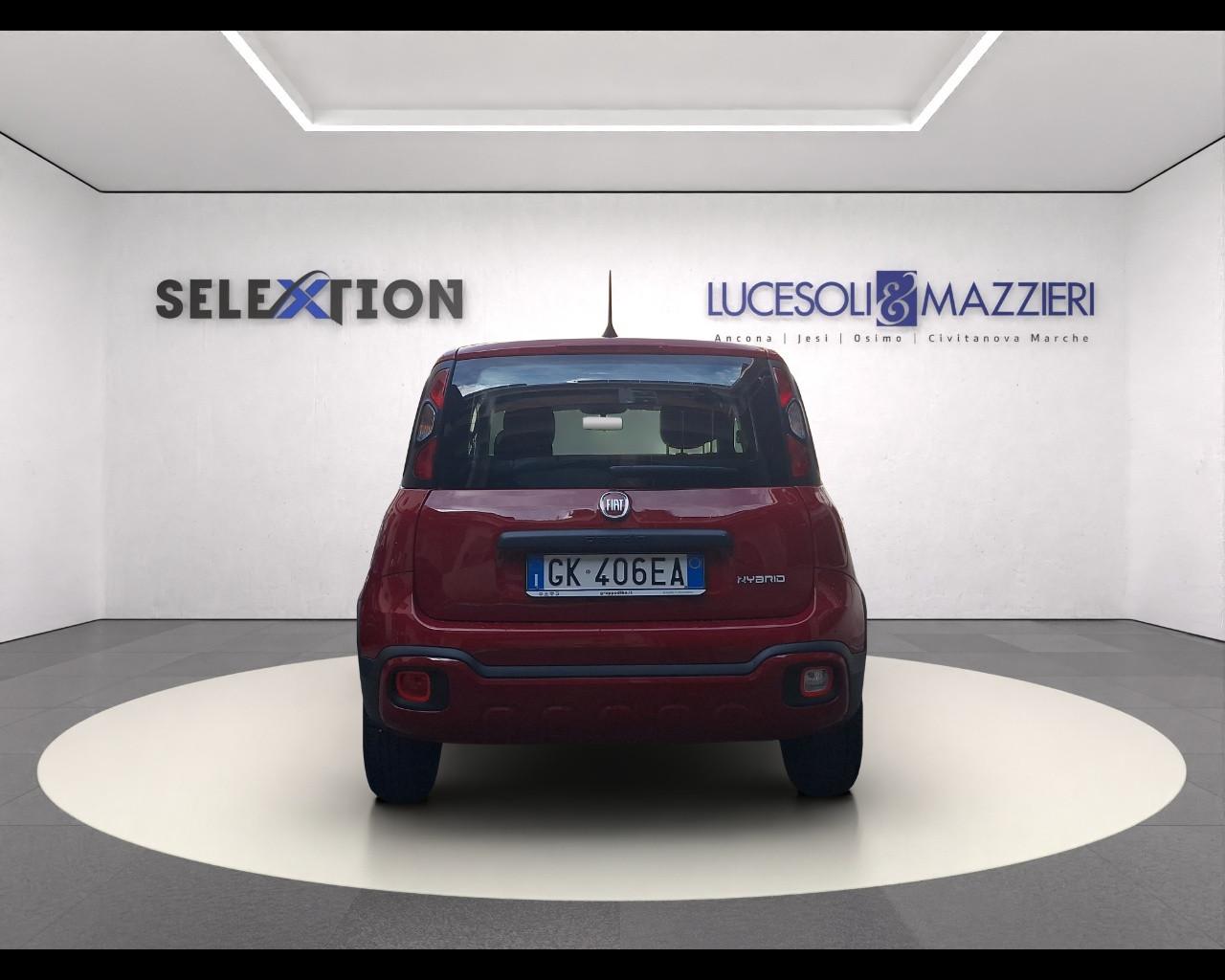 FIAT Panda 3ª serie - Panda 1.0 FireFly S&S Hybrid City Cross