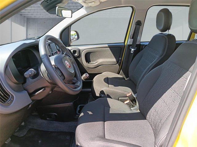 FIAT Panda 3ª serie 1.0 FireFly S&S Hybrid Pop
