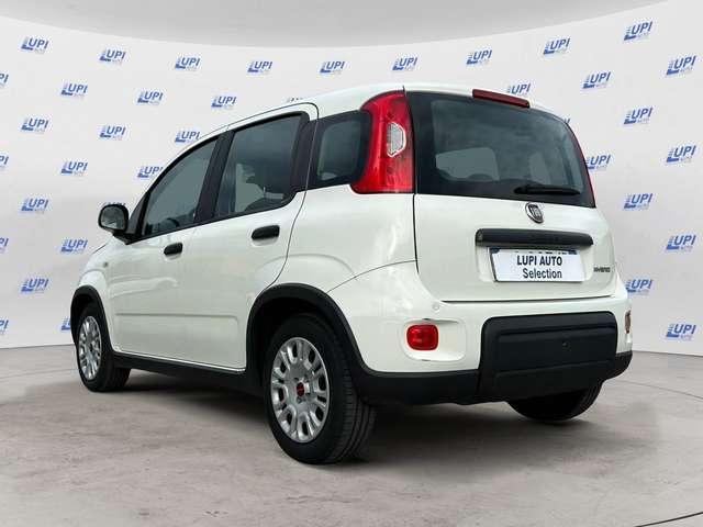 Fiat Panda 1.0 firefly hybrid s&s 70cv 5p.ti