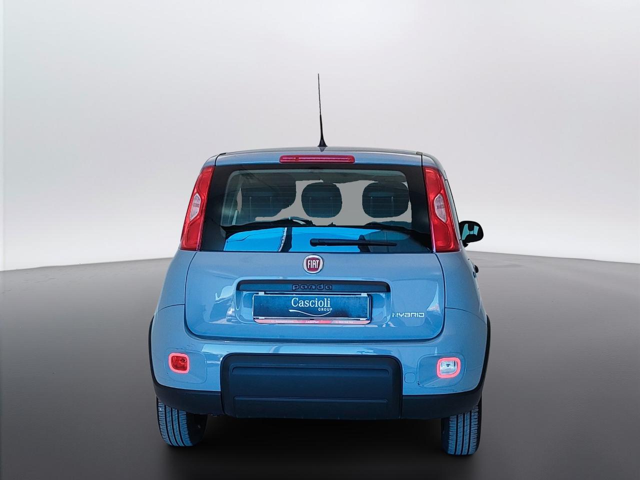 FIAT Panda III 2021 - Panda 1.0 firefly hybrid s&s 70cv