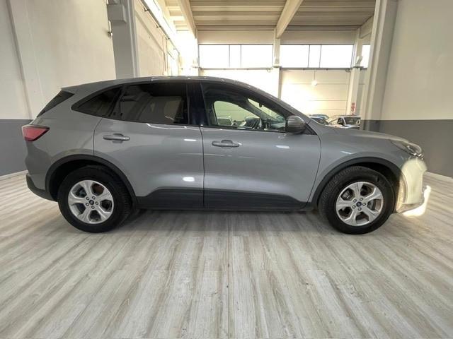 Ford Kuga 1.5 EcoBlue 120 CV aut. 2WD Titanium Business