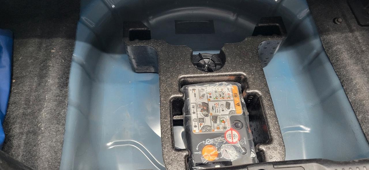 Ford Mustang VI Fastback 5.0 ti-vct V8 GT 450cv auto my20