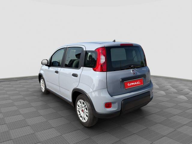 FIAT Panda Panda 1.0 FireFly Hybrid City Life