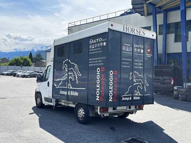 Fiat Ducato 30 2.3 MJT Trasporto Cavalli