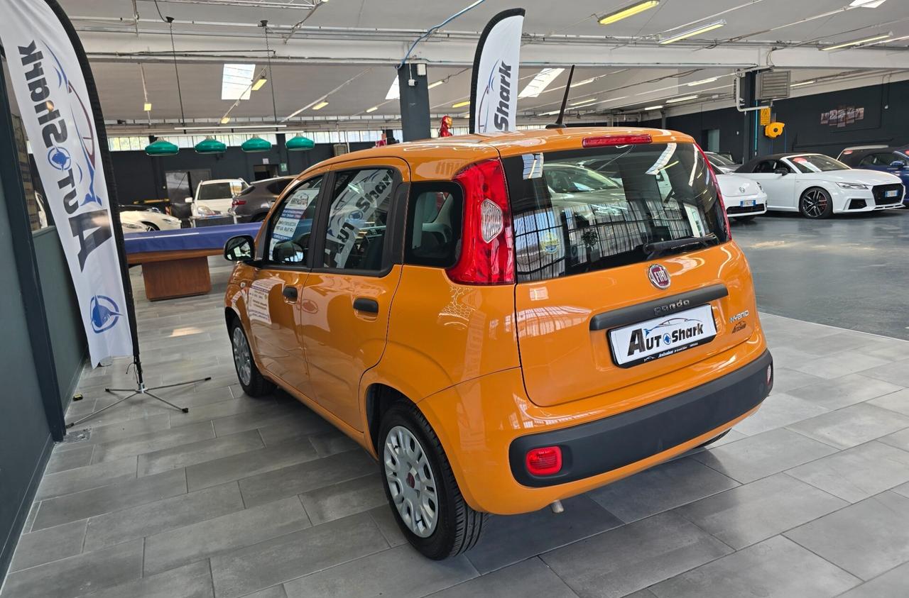 FIAT NEW PANDA CITY LIFE HYBRID 70CV 2020 XNEOPATENTATI