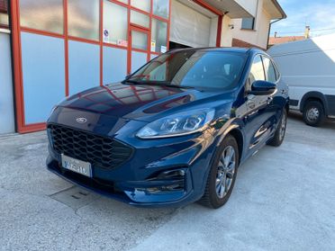 Ford Kuga 2.0 EcoBlue 120 CV aut. 2WD ST-Line - KM 27.000