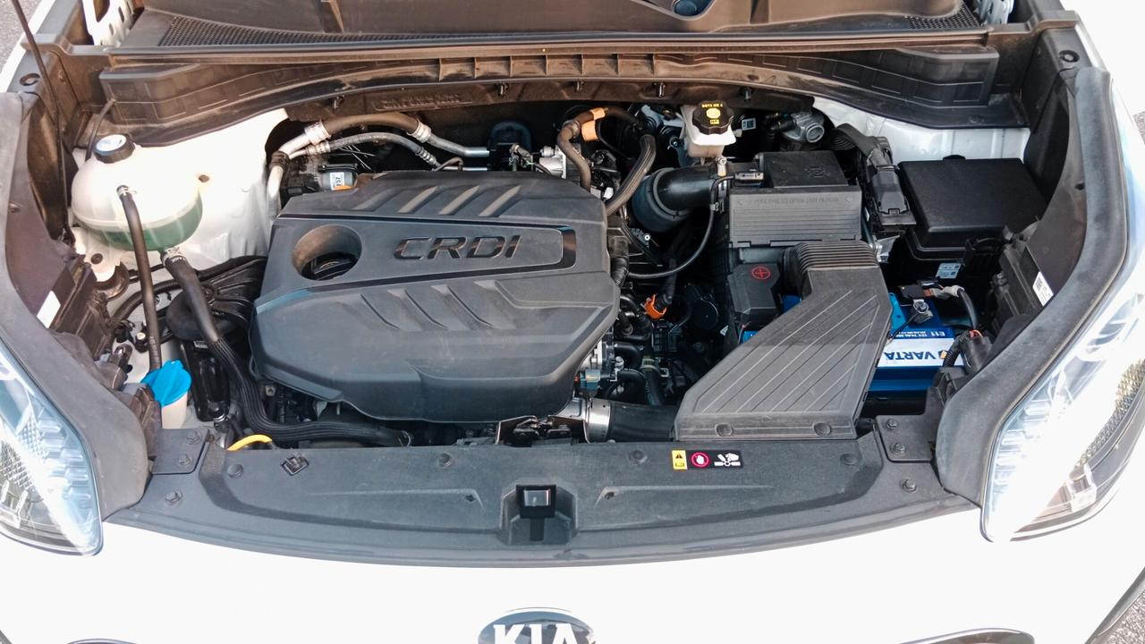 Kia Sportage 1.6 CRDI 136 CV DCT7 2WD Mild Hybrid GT Line Plus