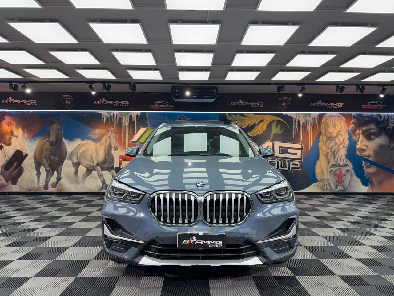 Bmw X1 sDrive 18d Msport (009)