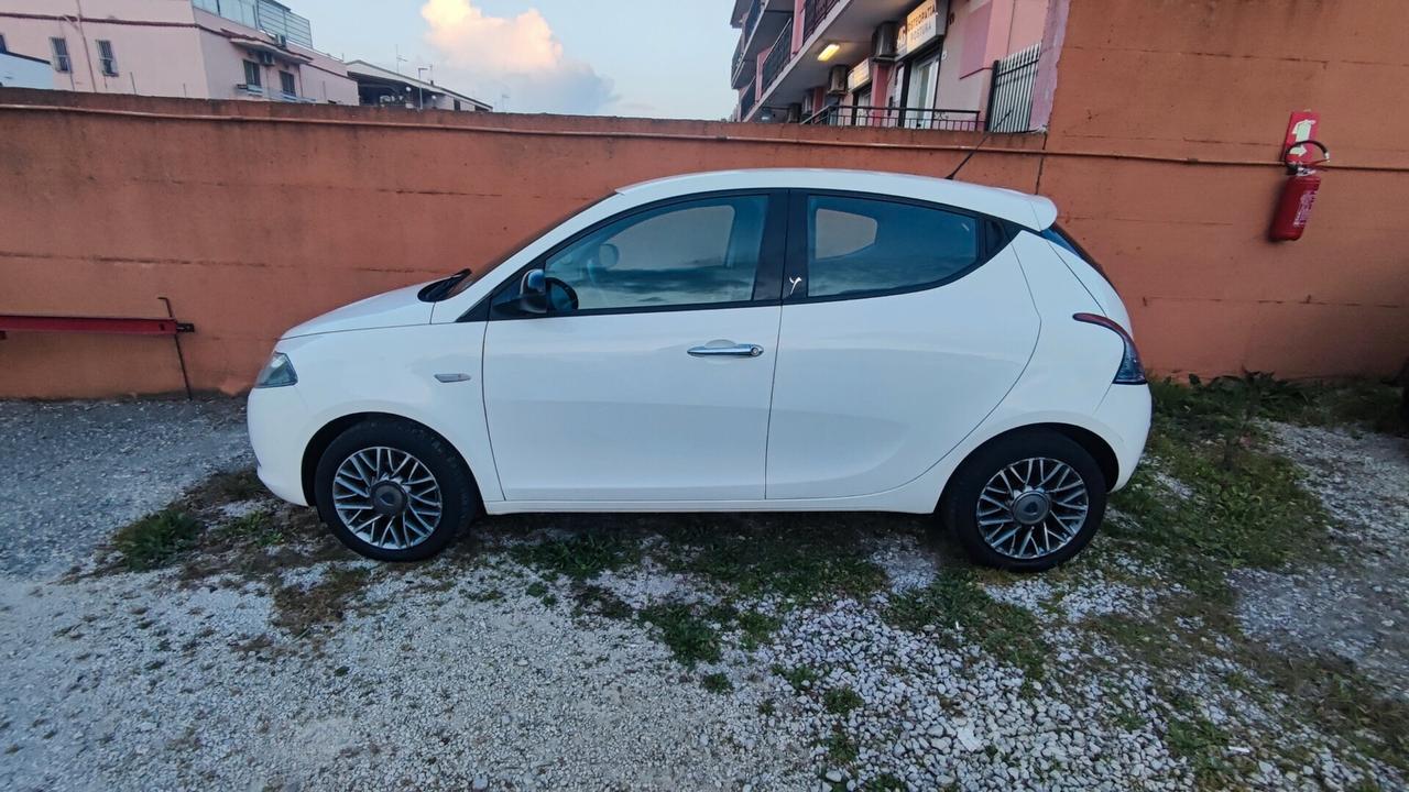 Lancia Ypsilon 1.3 MJT 16V 95 CV 5 porte S&S Platinum