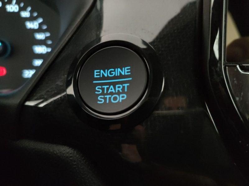 Ford Fiesta 5p 1.0 ecoboost h ST-Line 125cv