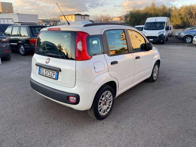 Fiat Panda Panda 1.2 Easy 69cv