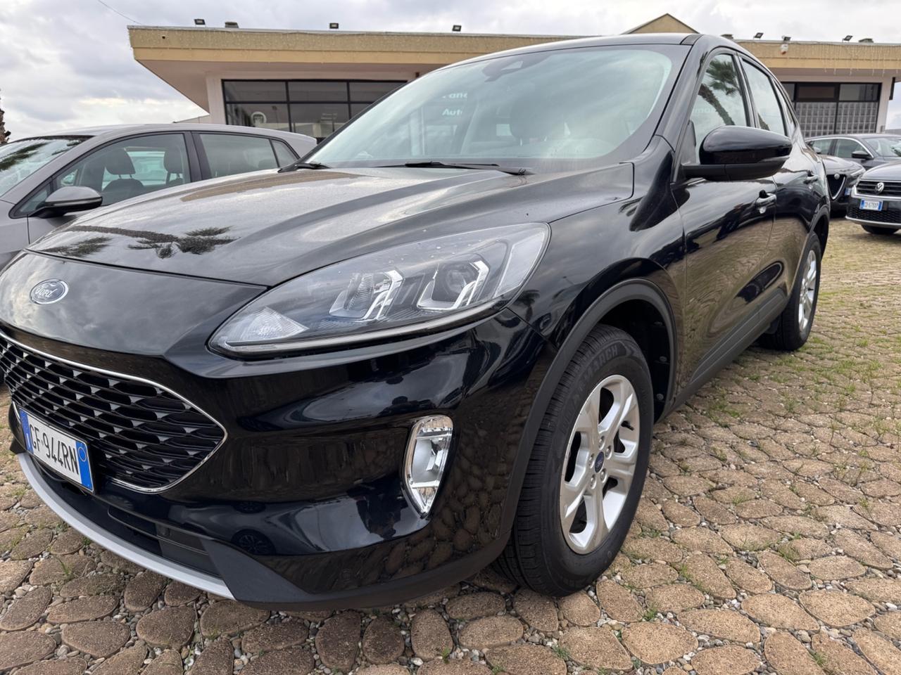 Ford Kuga 1.5 EcoBlue 120 CV aut. 2WD ST-Line X