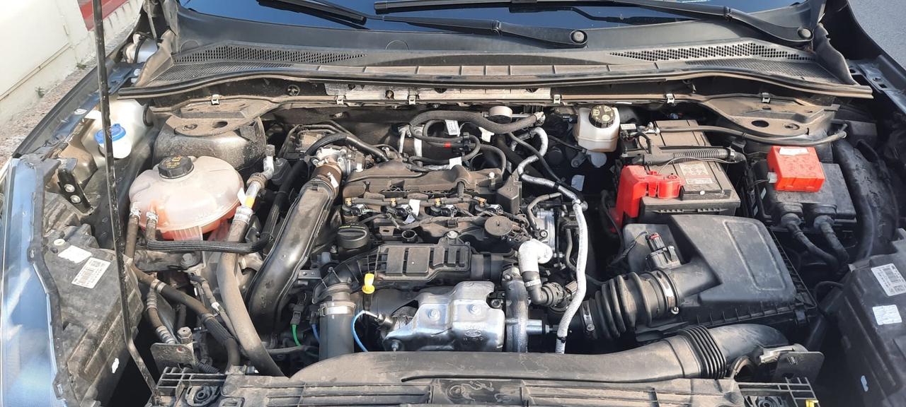 Ford Kuga 1.5 EcoBlue 120 CV 2WD ST-Line X