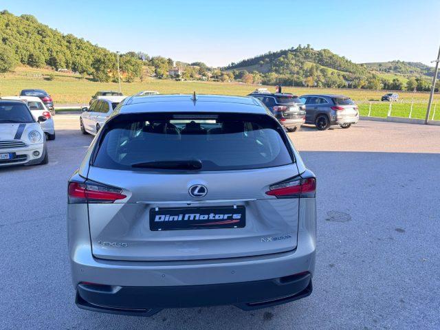 LEXUS NX 300 Hybrid NX300h 4x4 AUTOMATICA AWD 4WD TETTO LED