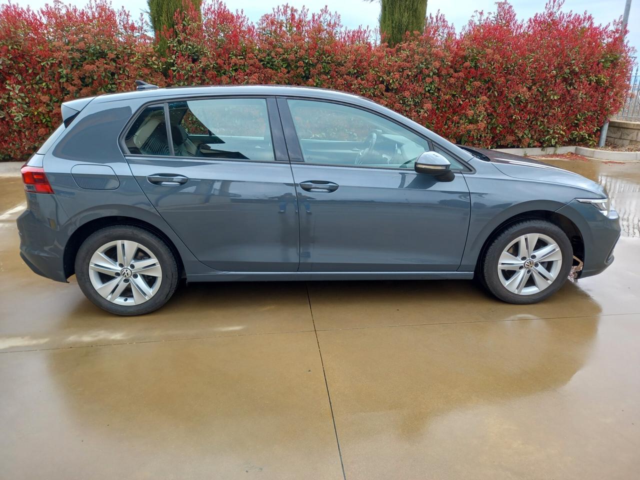 Volkswagen Golf 2.0 TDI 150 CV DSG 2022