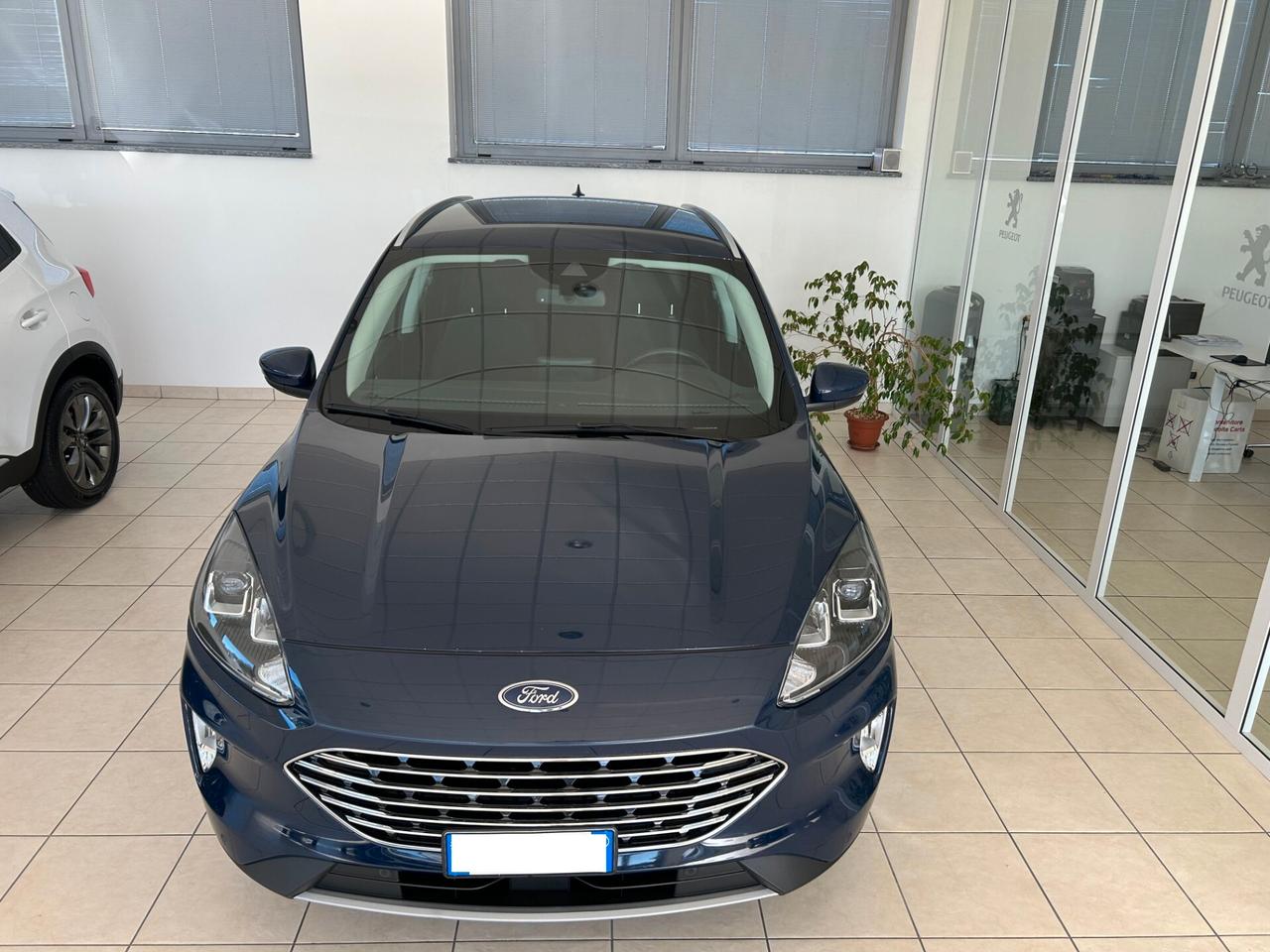 Ford Kuga 1.5 EcoBlue 120 CV 2WD Titanium Business
