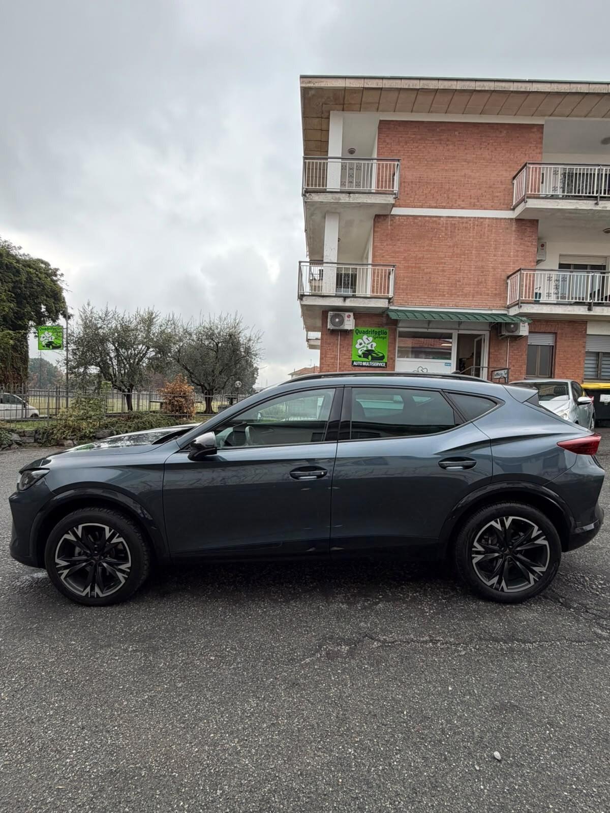 Cupra Formentor 2.0 TDI DSG TRIBE EDITION