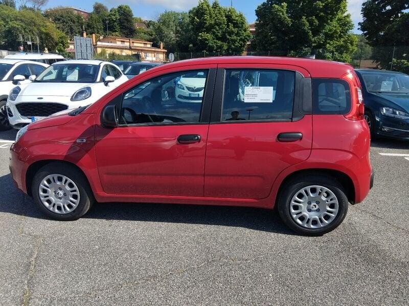 FIAT Panda New 1.0 70cv Hybrid Panda