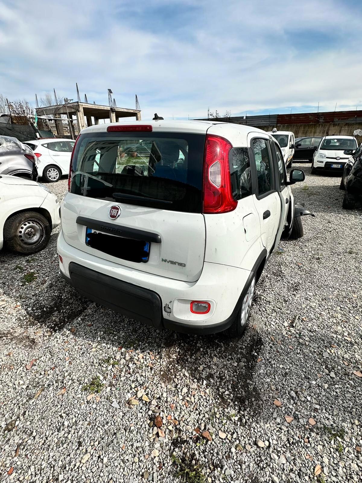 Fiat Panda 1.0 Hybrid 05/2023 sinitrata